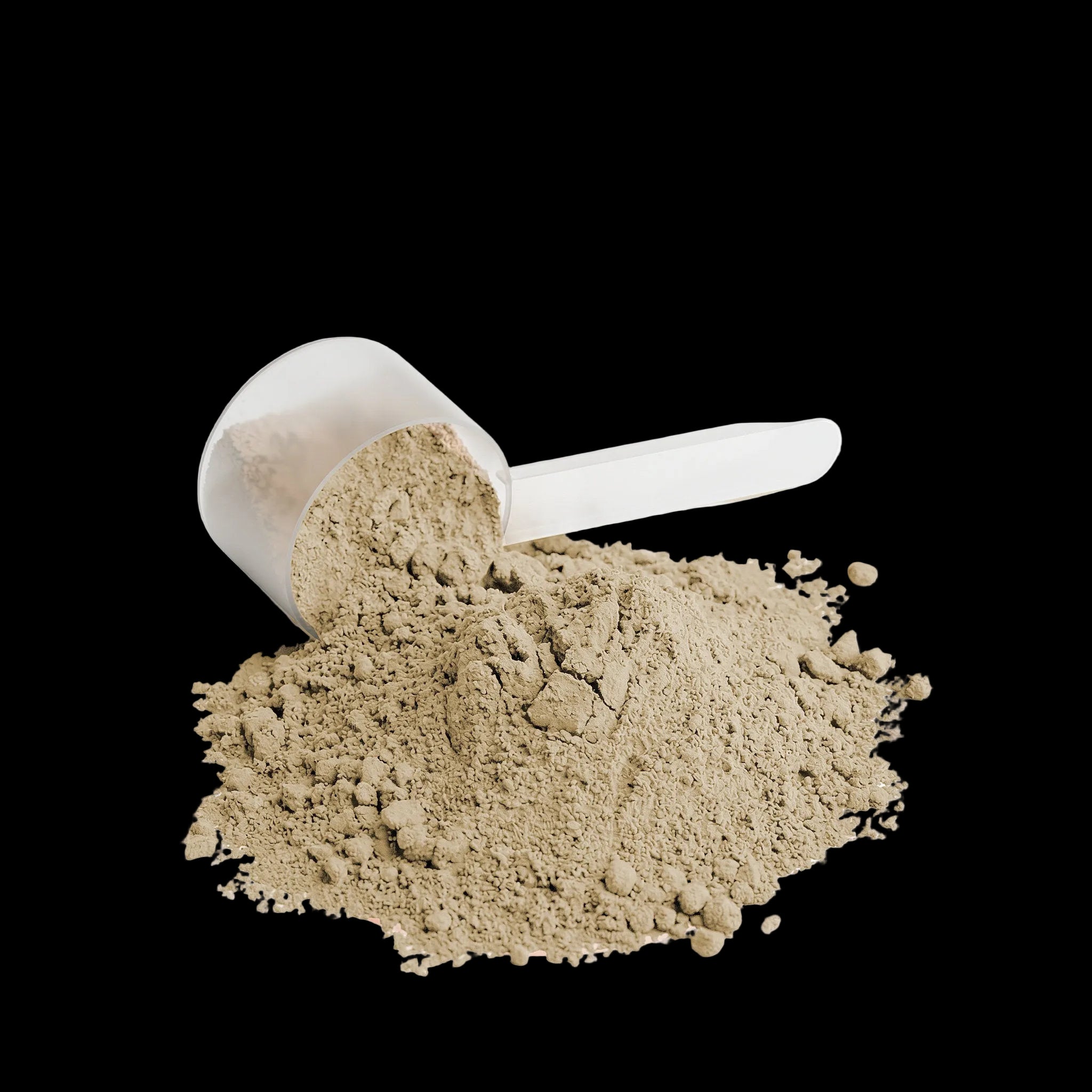 XLR8 Plant Protein (Vanilla)