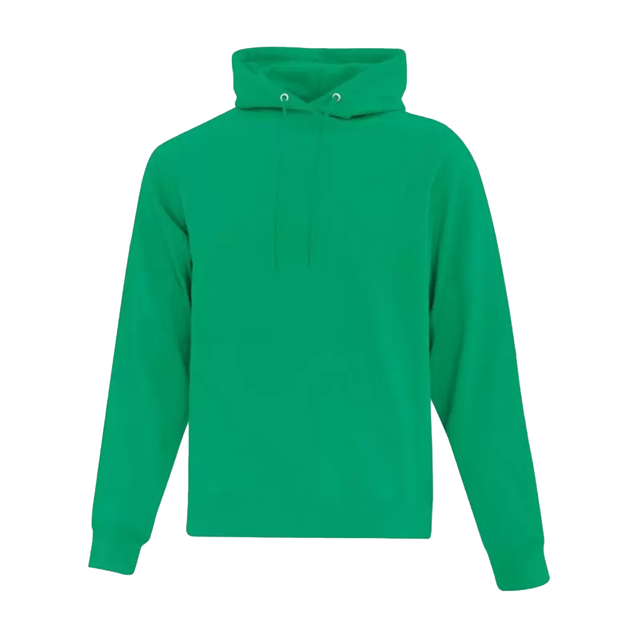 ATC Everyday Fleece Hoodie - Adult Unisex Sizing S-4XL - Green