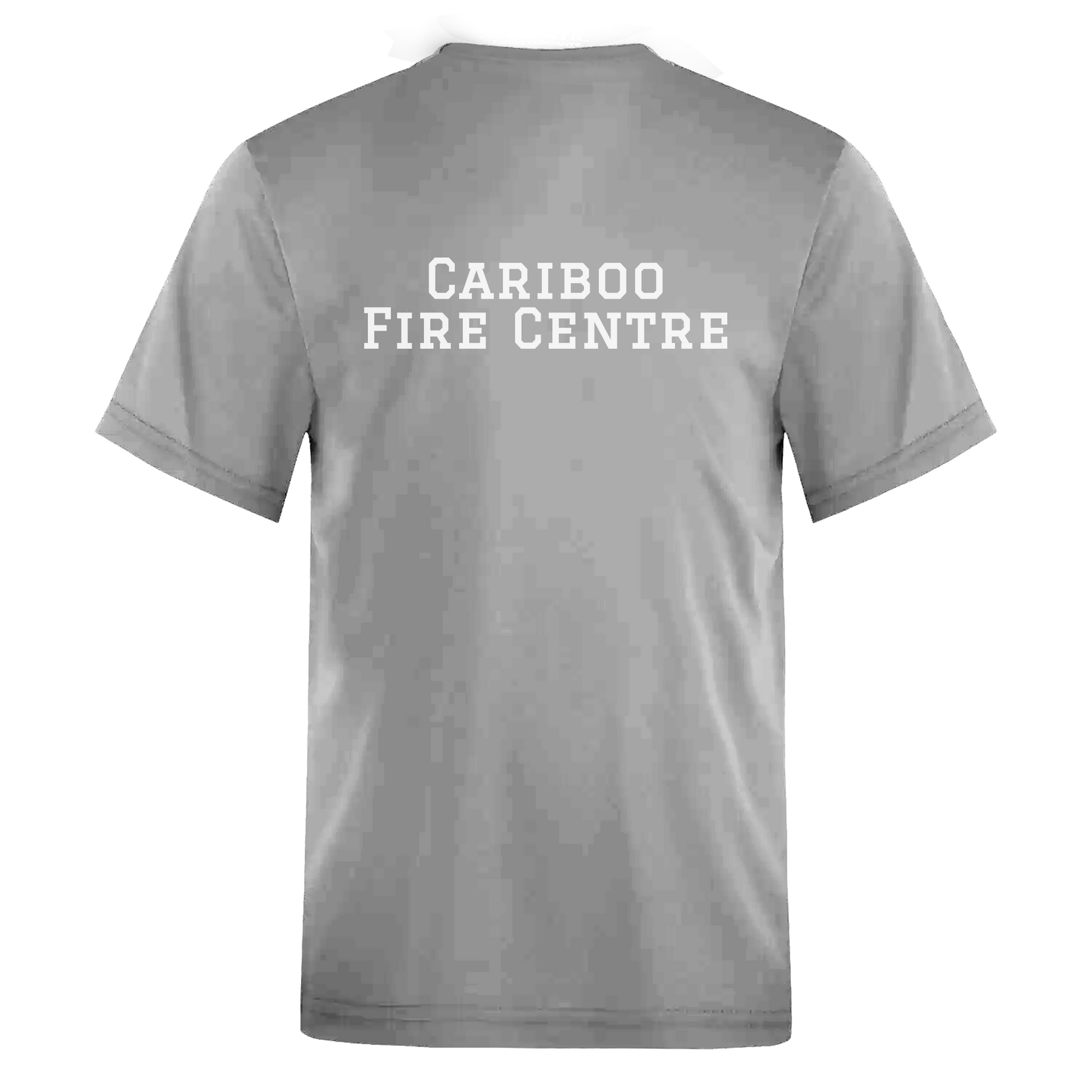 Cariboo Fire Centre Tee - Back - Adult Unisex Sizing XS-4XL- Grey