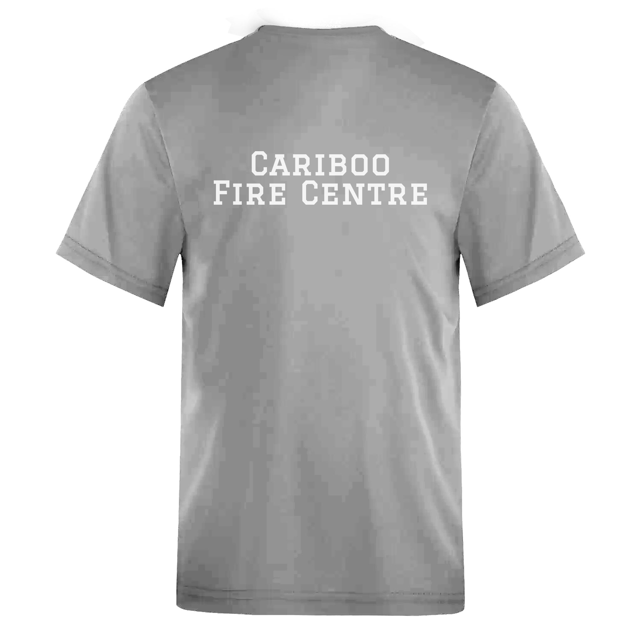 Cariboo Fire Centre Tee - Back - Adult Unisex Sizing XS-4XL- Grey
