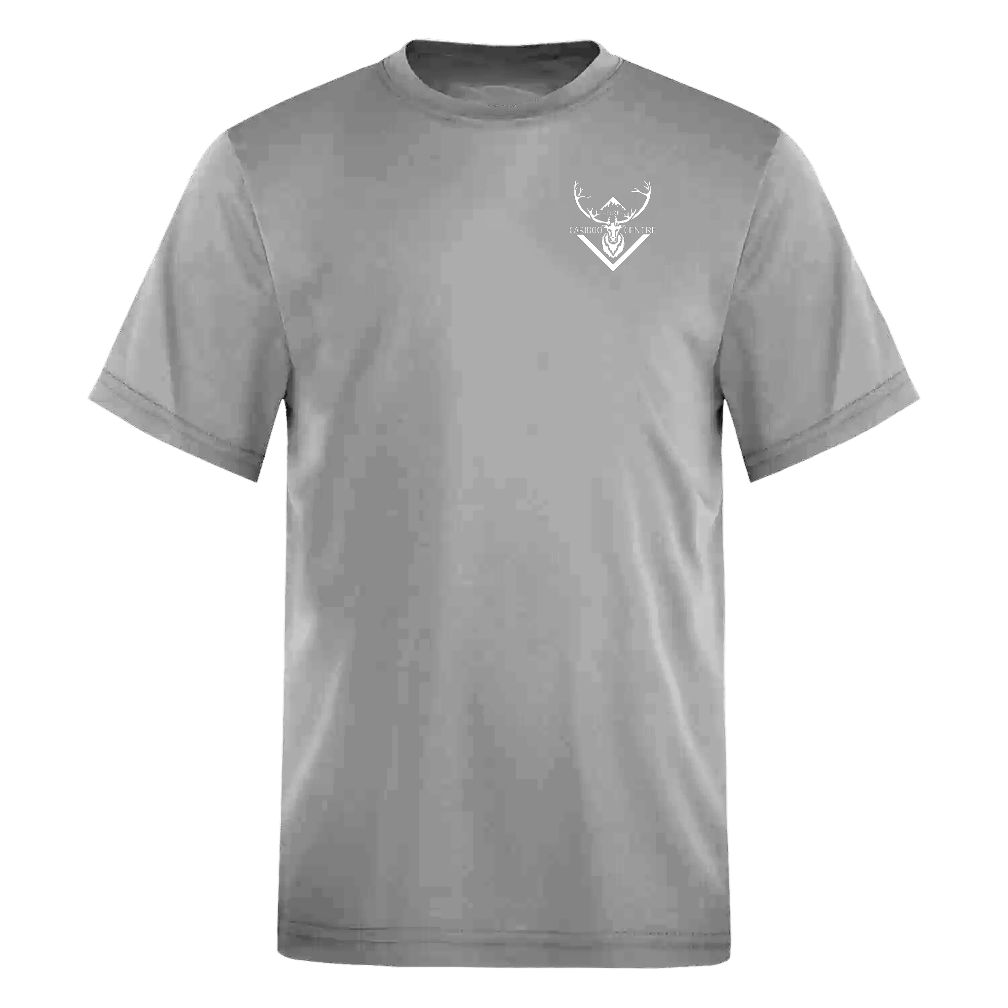 Cariboo Fire Centre Youth T-Shirt - Unisex Sizing XS-XL - Grey