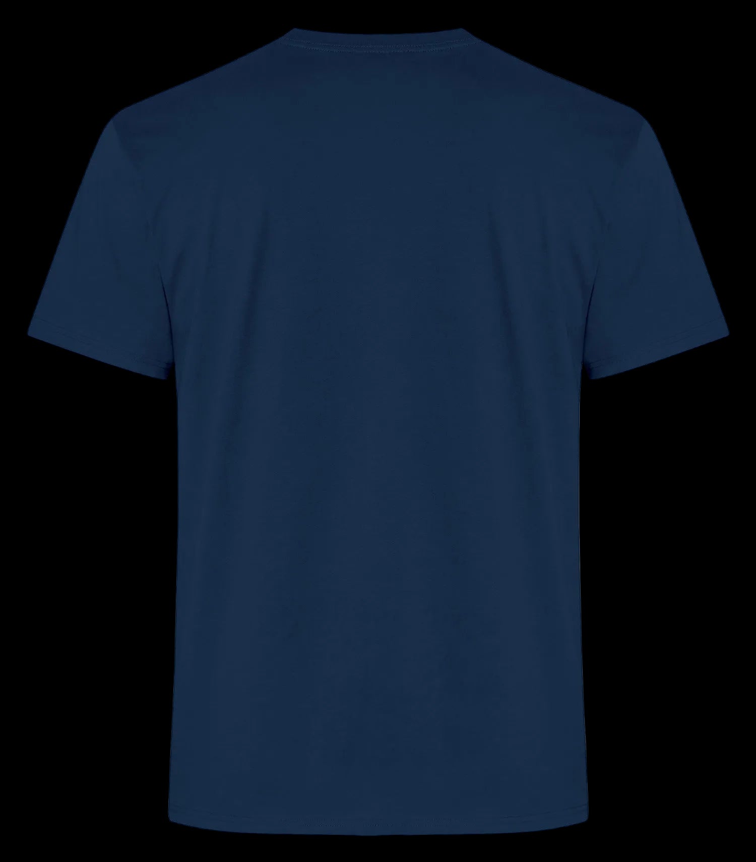 ATC™ EVERYDAY RING SPUN COTTON TEE. - MEN'S ATC2000