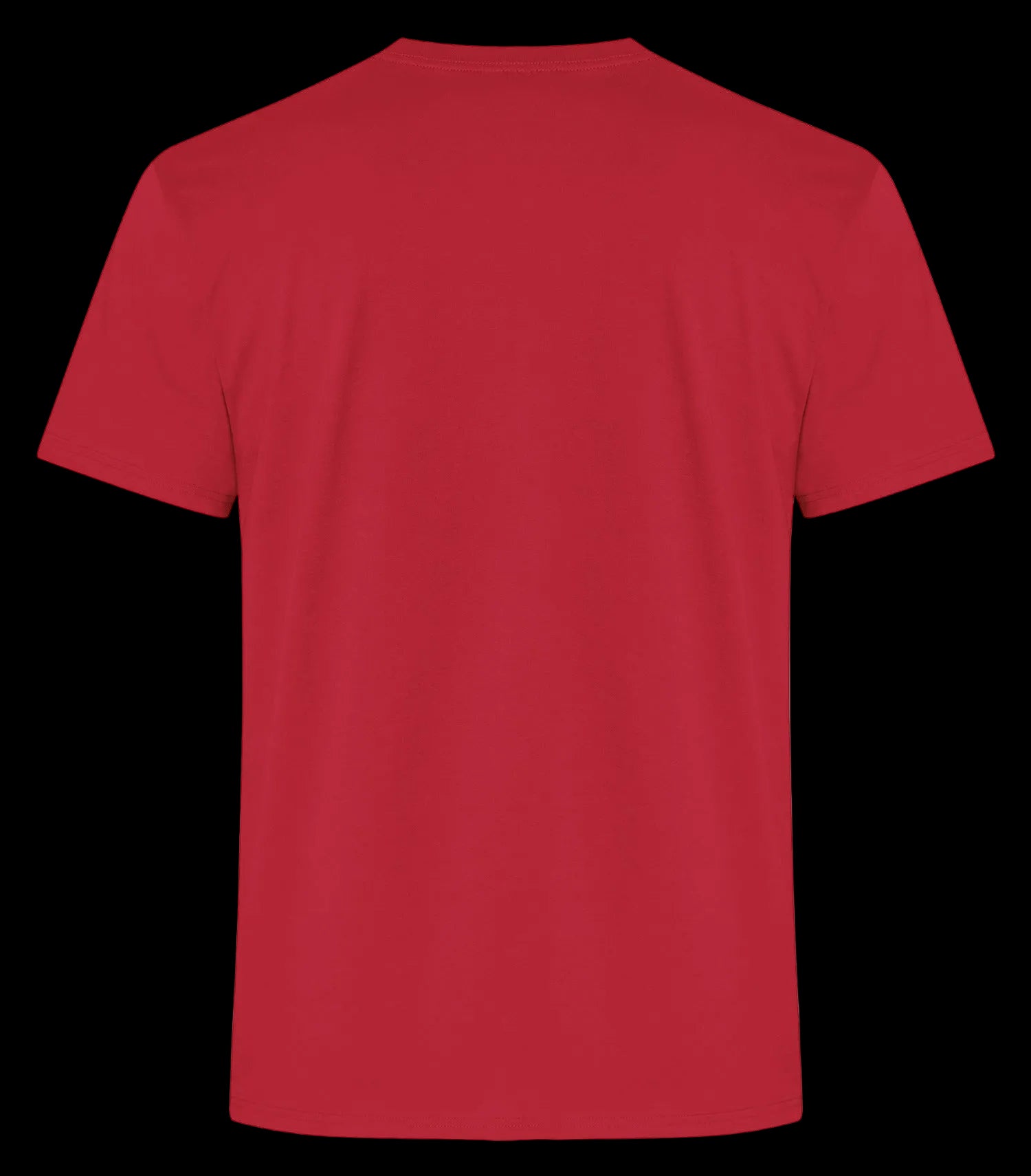 ATC™ EVERYDAY RING SPUN COTTON TEE. - MEN'S ATC2000