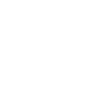 XIX Brands