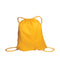 ATC Everyday Reusable Cinch Pack - 4L - Gold